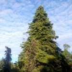 430X430-img2-2.jpg