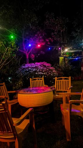 JMT Eco Binsar in Dhaulchhina Almora Uttarakhand