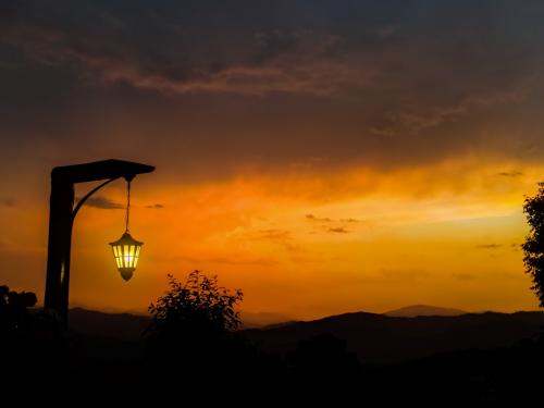 Hotel JMT Eco Binsar in Dhaulchhina Almora Uttarakhand