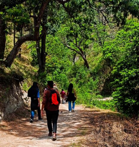 Hotel JMT Eco Binsar in Dhaulchhina Almora Uttarakhand