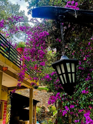 Hotel JMT Eco Binsar in Dhaulchhina
