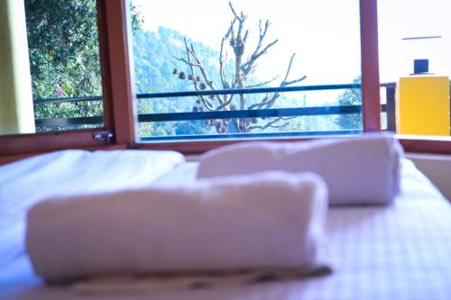 Hotel JMT Eco Binsar in Dhaulchhina Almora Uttarakhand