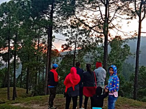 Hotel JMT Eco Binsar in Dhaulchhina Almora Uttarakhand