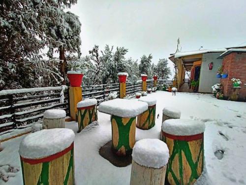 Snowfall JMT Eco Binsar in Dhaulchhina Almora Uttarakhand