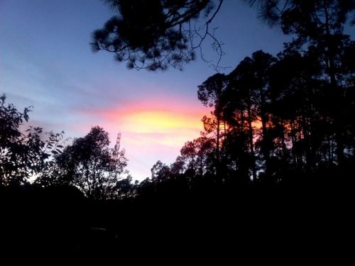 Nature View, JMT Eco Binsar in Dhaulchhina Almora Uttarakhand